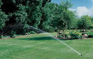 irrigation